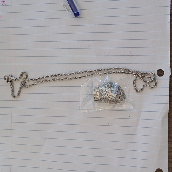 Stainless steel lion head pendant and necklace - Picture 2 of 3